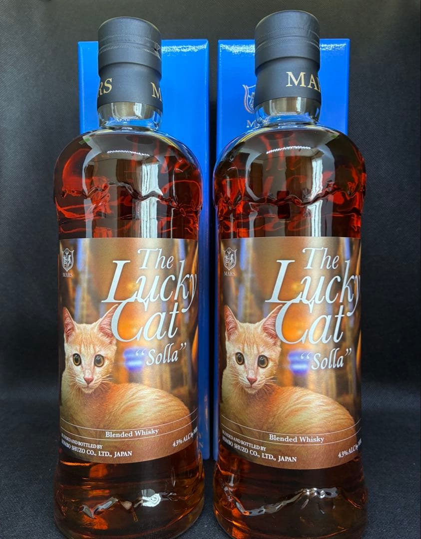 佐*紀様 ザ・ラッキーキャット ソラ The Lucky Cat Solla ２