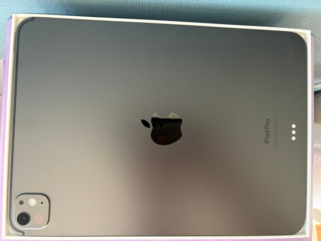 11インチiPad Pro(M4) 256GB Wi-Fiモデル ジャンク品