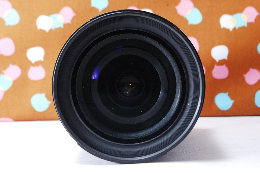 ✨超美品✨Nikon AF-S 24-120mm F3.5-5.6 G VR