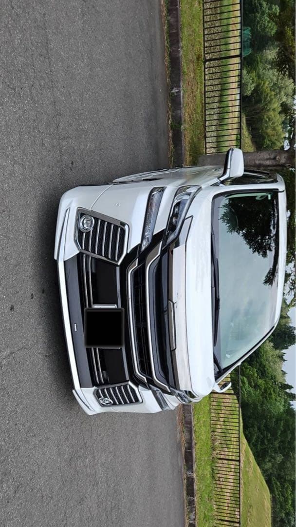 フロントグリル 30ヴェルファイア前期ZG