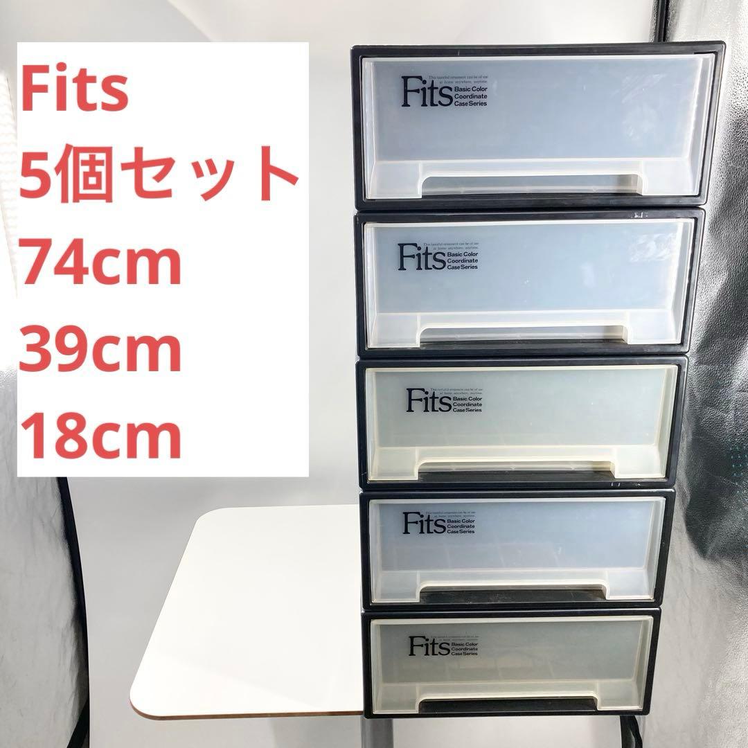 天馬 Fits フィッツケース 5個セット 幅39×奥行74×高18cm 収納