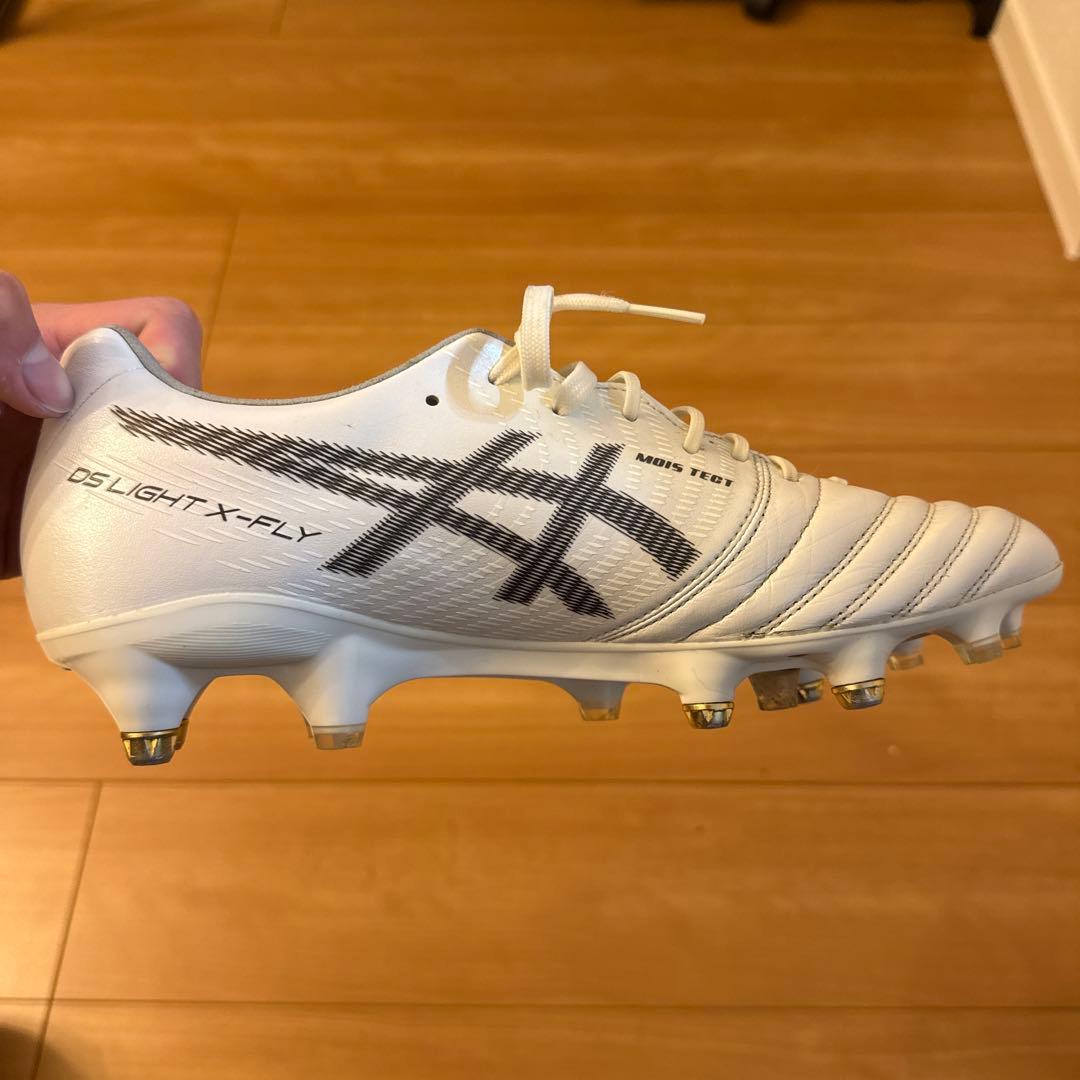 取替式DS LIGHT X-FLY