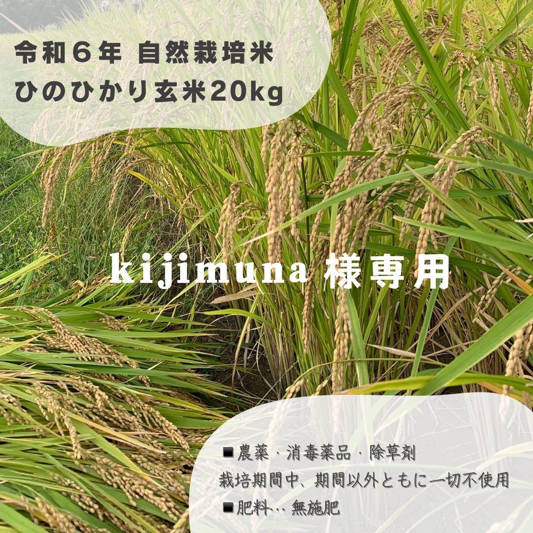 【kijimuna】　熊本県 自然栽培米 ひのひかり 玄米20kg