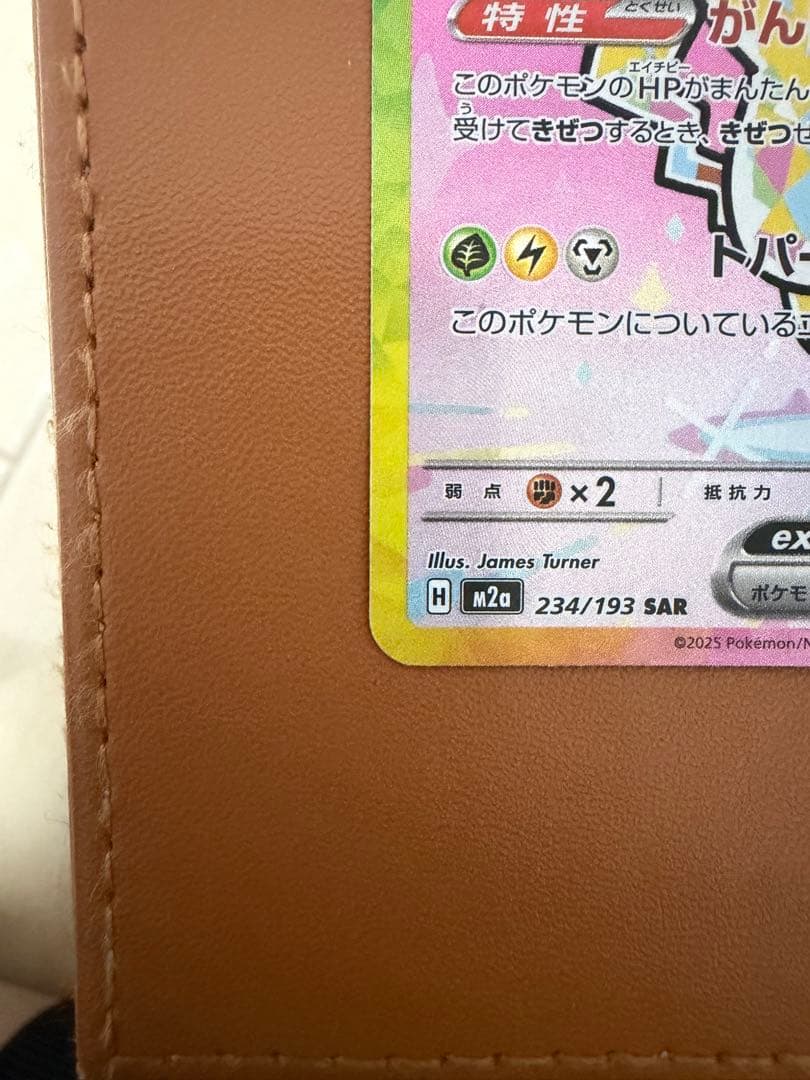 ピカチュウ EX 234/193