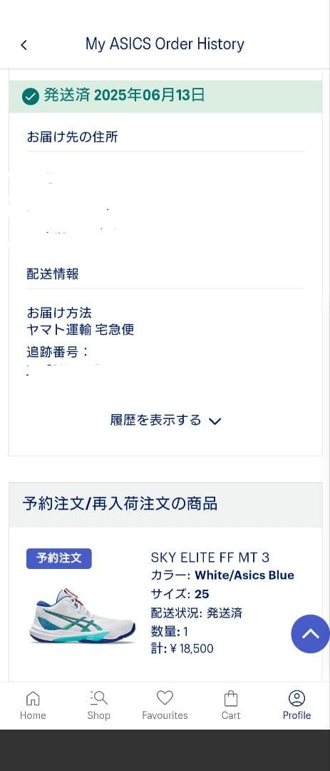 25cm SKY ELITE FF MT 3 ASICS バレーボールシューズ