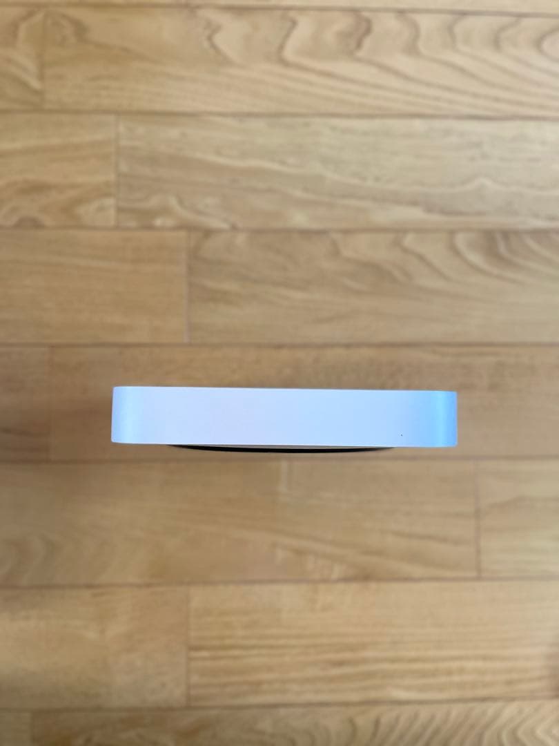 Apple Mac mini 16gb 2TB アップル　マック