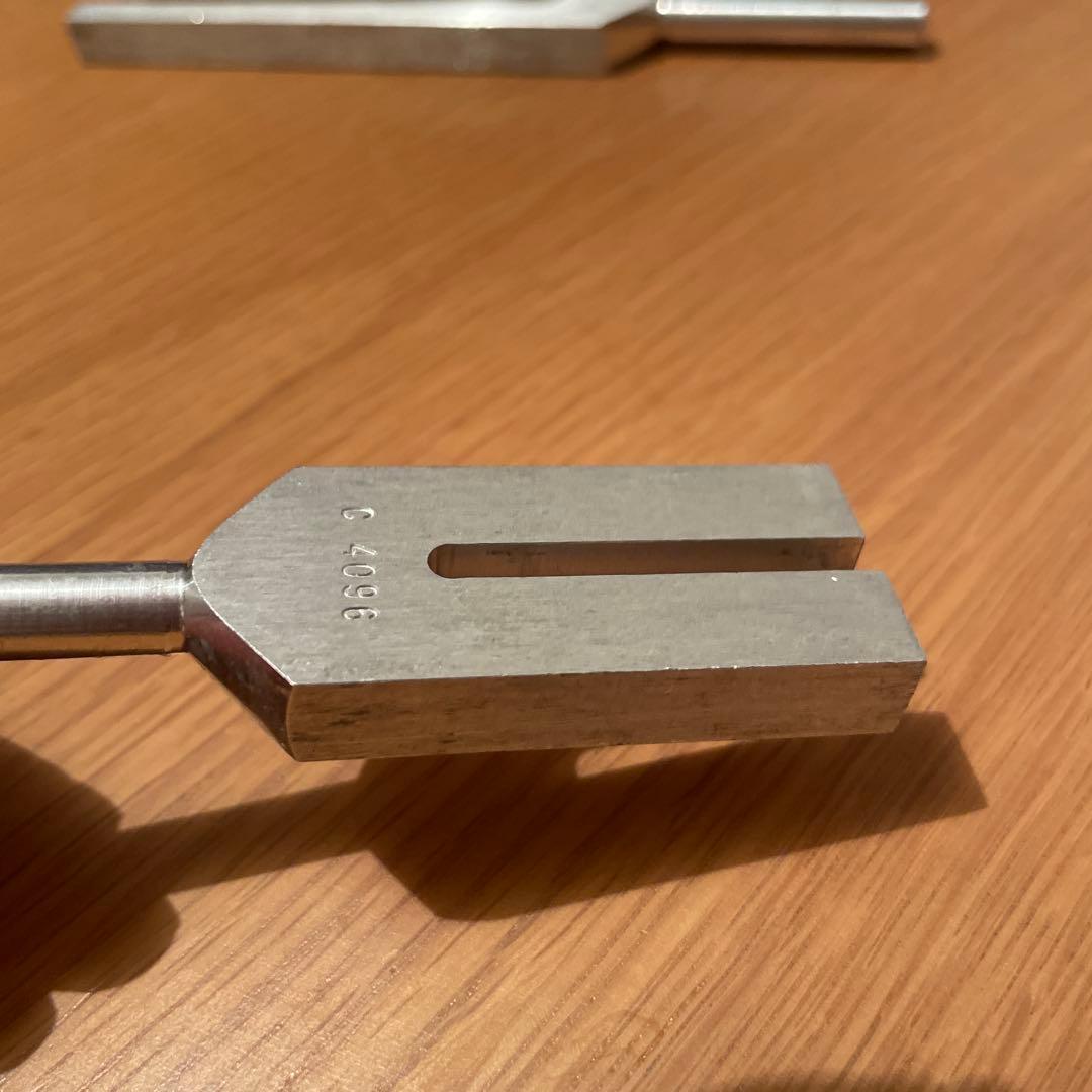 音叉　セット　biosonics 528 4096