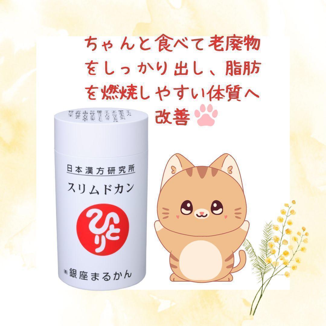 スリムドカン(大) 銀座まるかん 165g