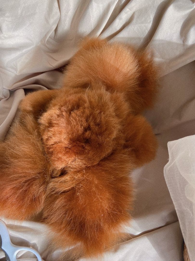 ふわふわアルパカテディベア (ペルー直輸入) ココア