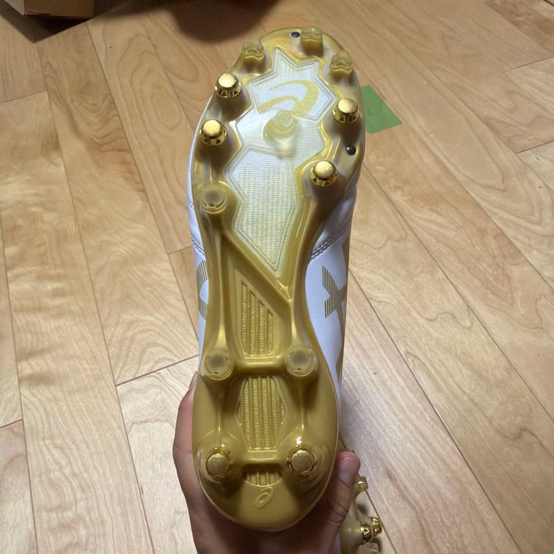 fjd　DS LIGHT X-FLY PRO ST メンズ