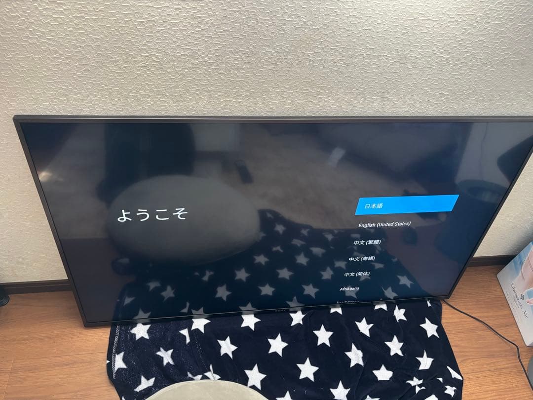 ミナ SONY テレビ本体