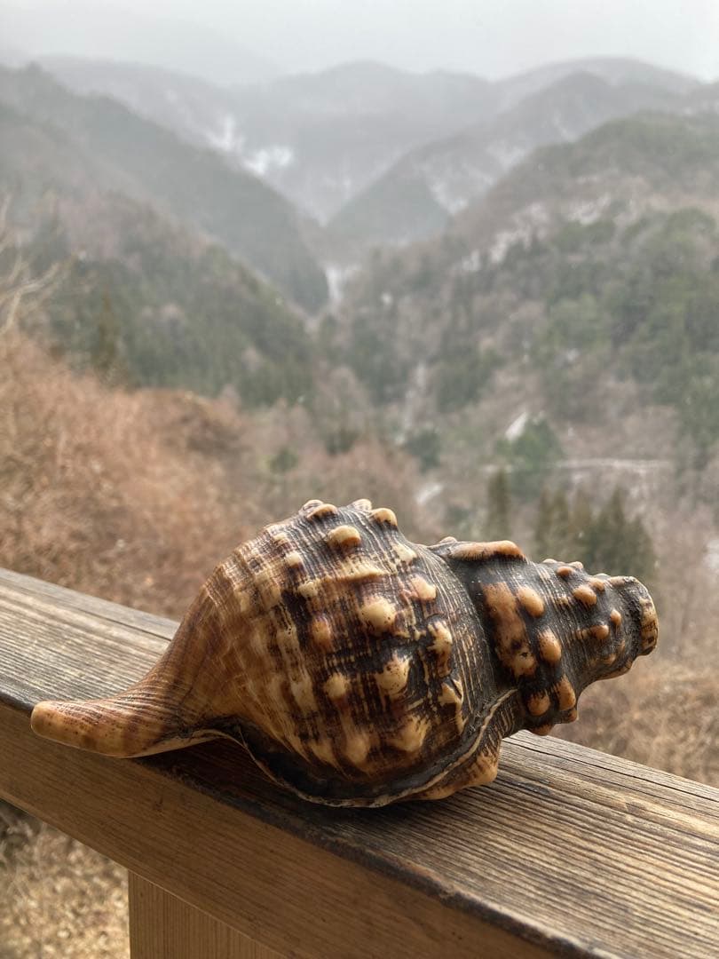 法螺貝　山伏　魔除け　戦前