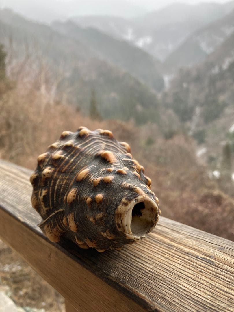 法螺貝　山伏　魔除け　戦前