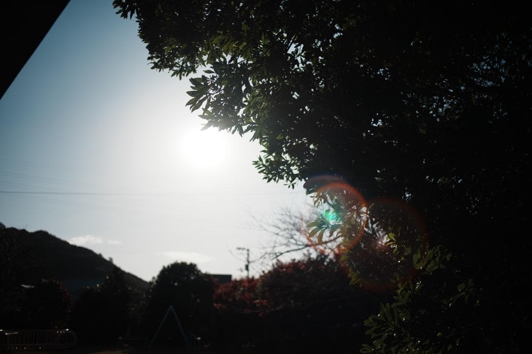 【整備＆テスト済】Canon New FD 35mm F2 キャノン 571