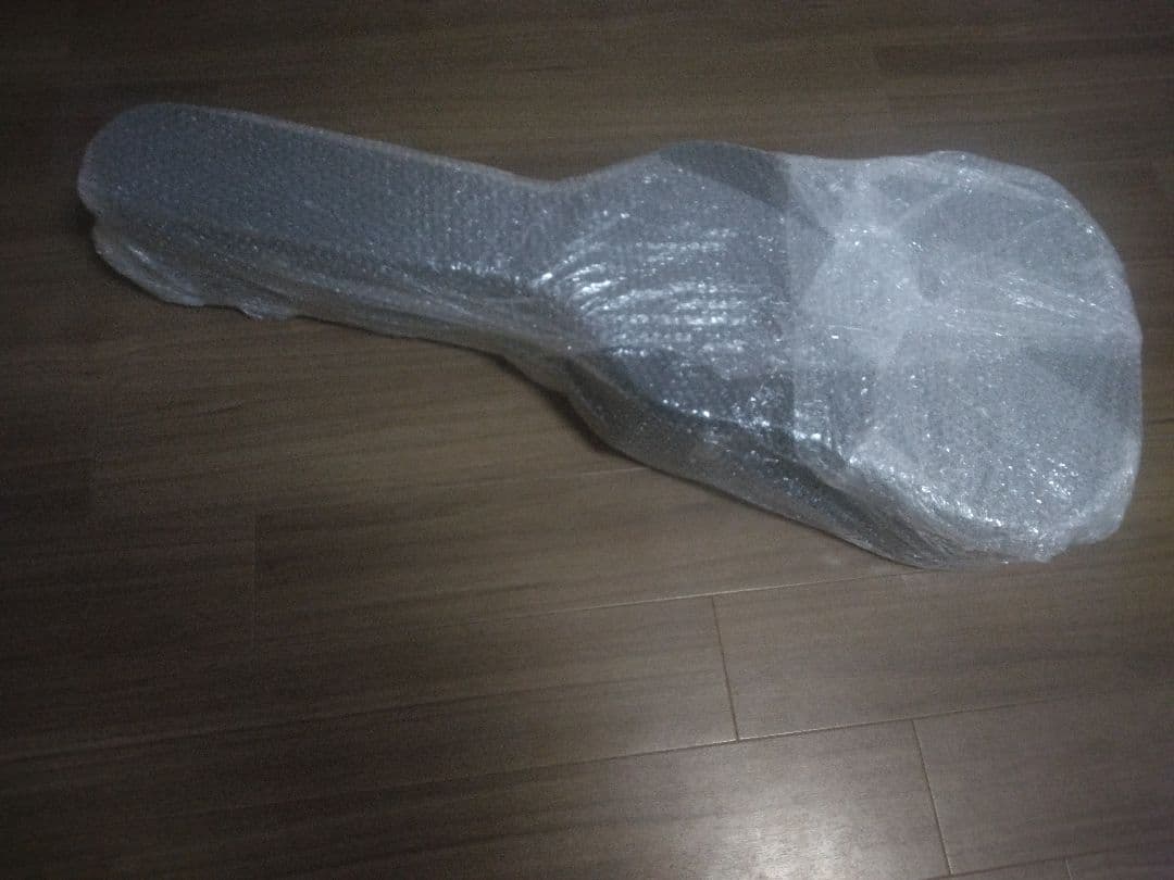 タカミネギター