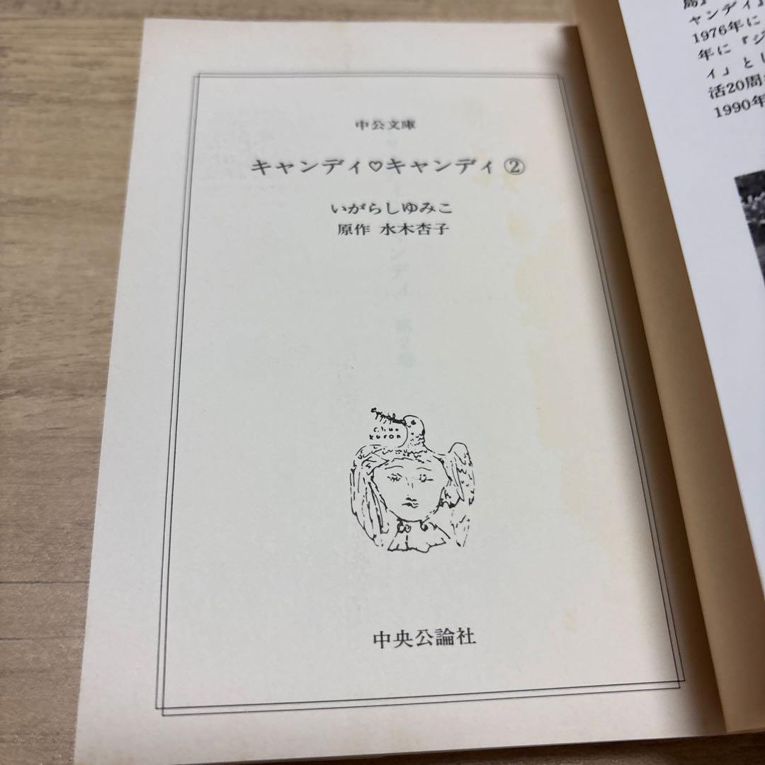 も*み様 キャンディキャンディ　文庫版　全巻セット　箱入り　いがらしゆみこ