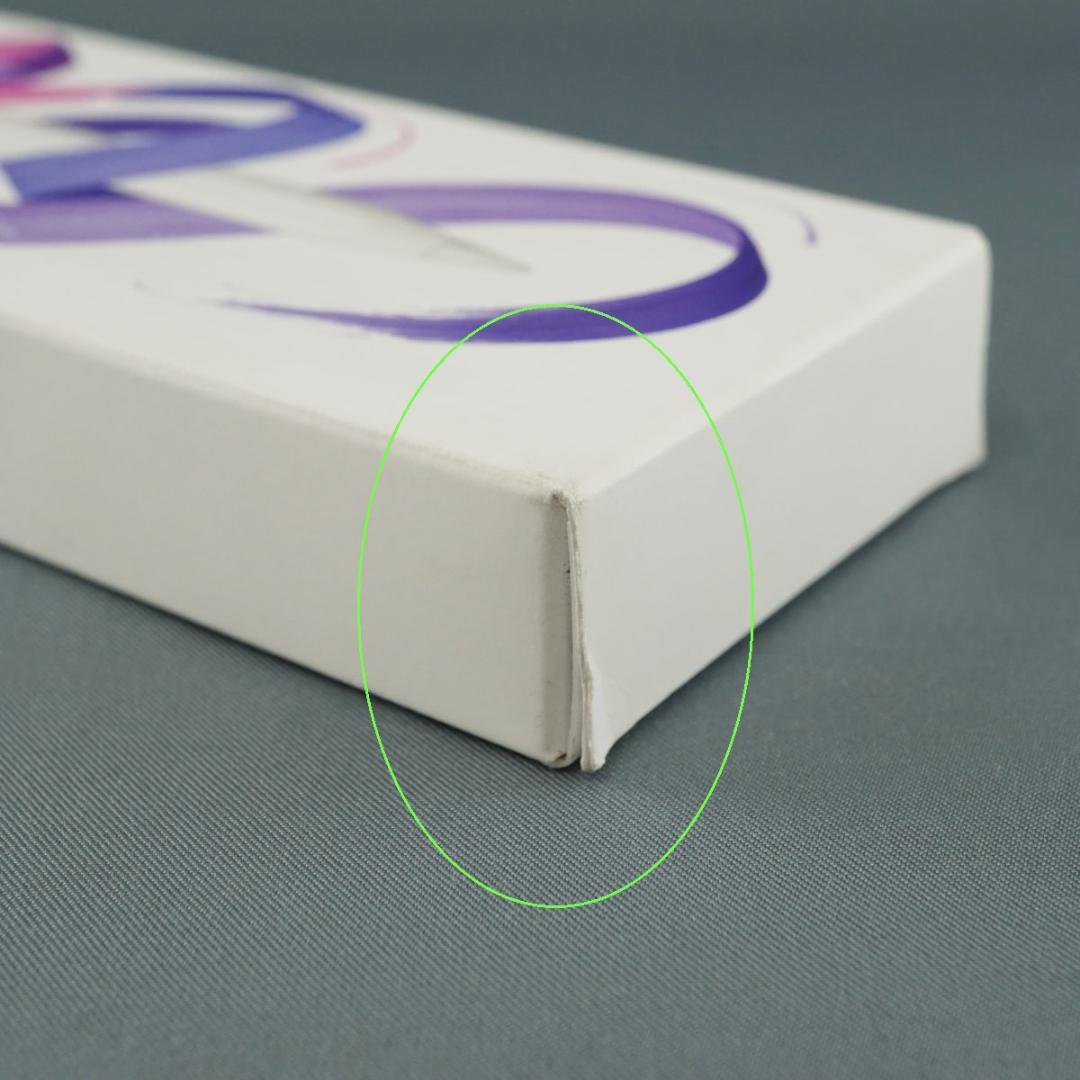 Apple Pencil Pro USED超美品 アップルペンシル プロ 正規品