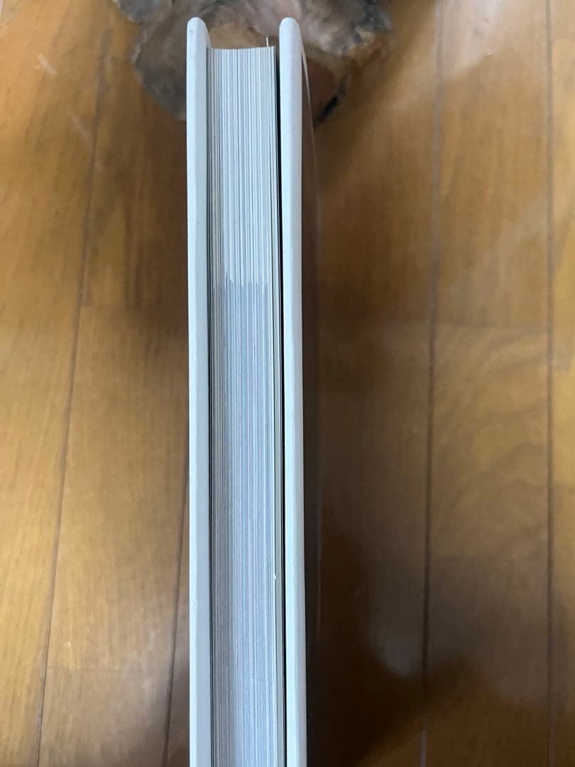 Ryan McGinleyライアンマッギンレー 『You and I』　写真集