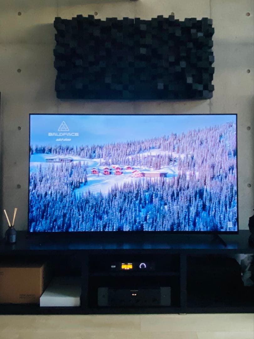 ソニー　XRJ-65A80K Bravia XR 65インチOLEDテレビ