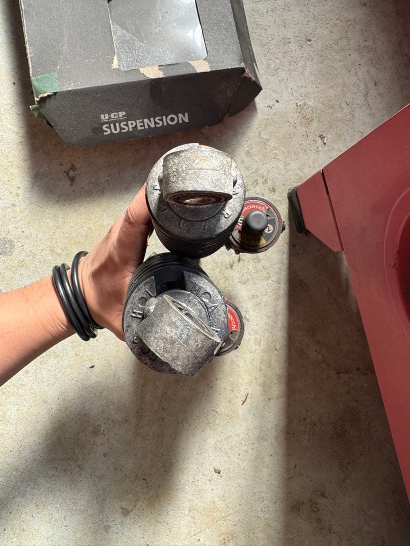 マルゾッキ　320mm