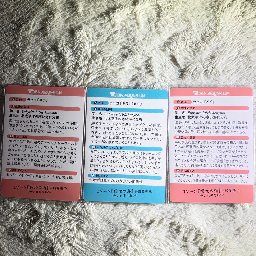 鳥羽水族館コレクションカード　キラメイ