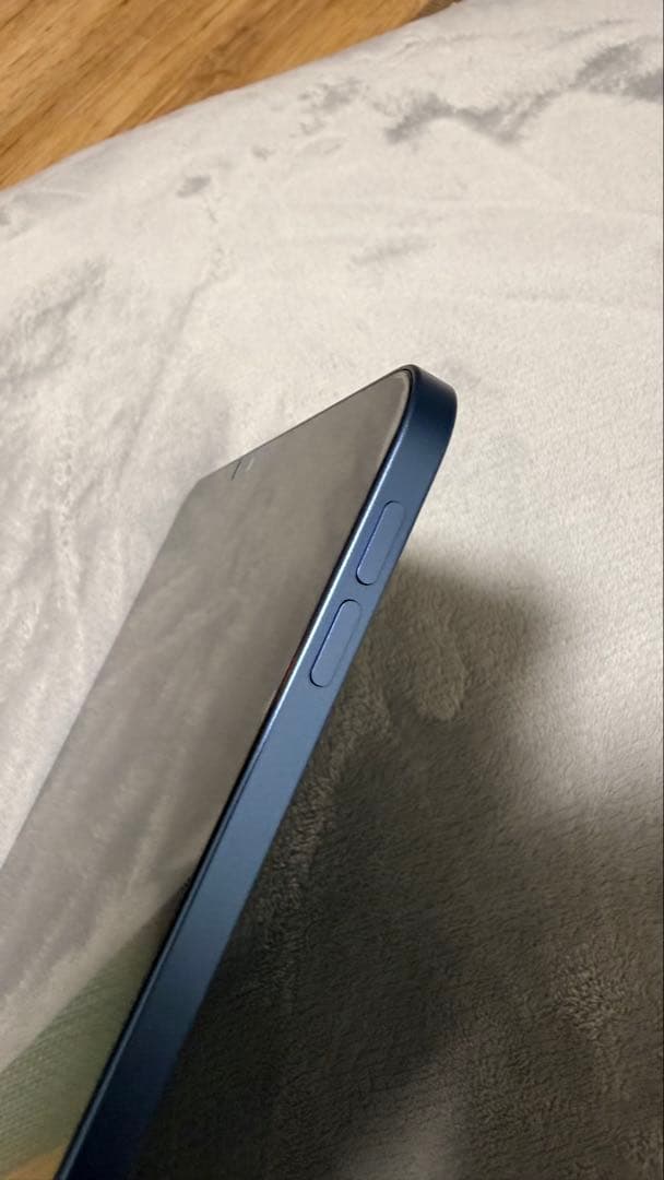 iPad本体 iPad air Wifi 256gb