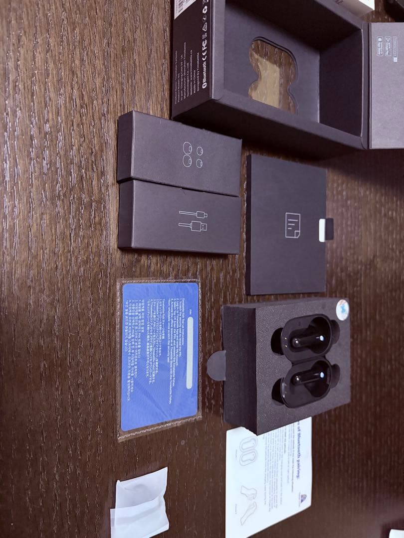 【美品】 Timekettle M3 イヤホン型翻訳機