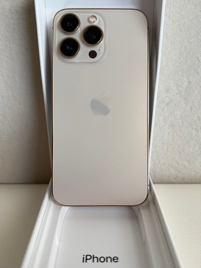Apple iPhone 13 Pro ゴールド 本体＋充電ケーブル