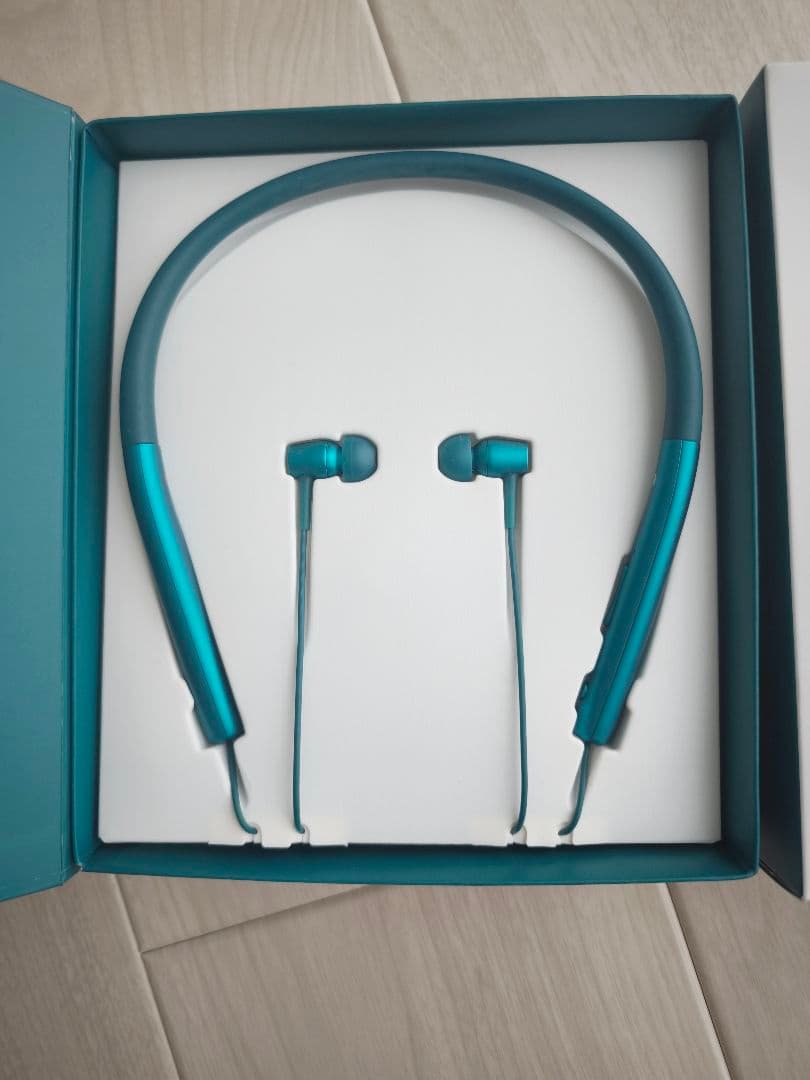 廃盤　ソニー　ワイヤレスステレオヘッドセットh.ear in Wireless