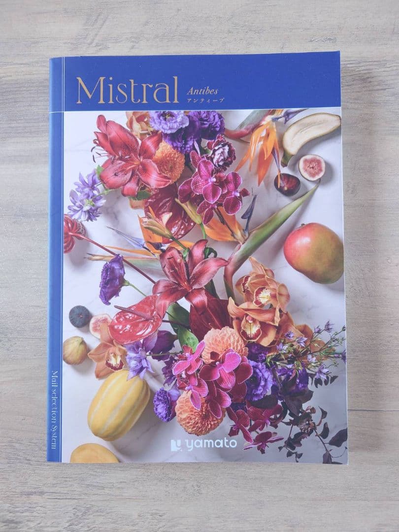 北海道ファン感謝デー オリジナルカタログ & Mistral アニバーサリー