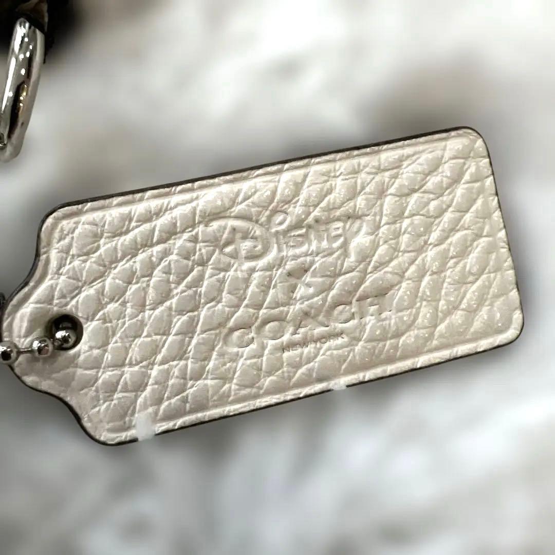 専用　COACH Disneyコラボダンボバッグ