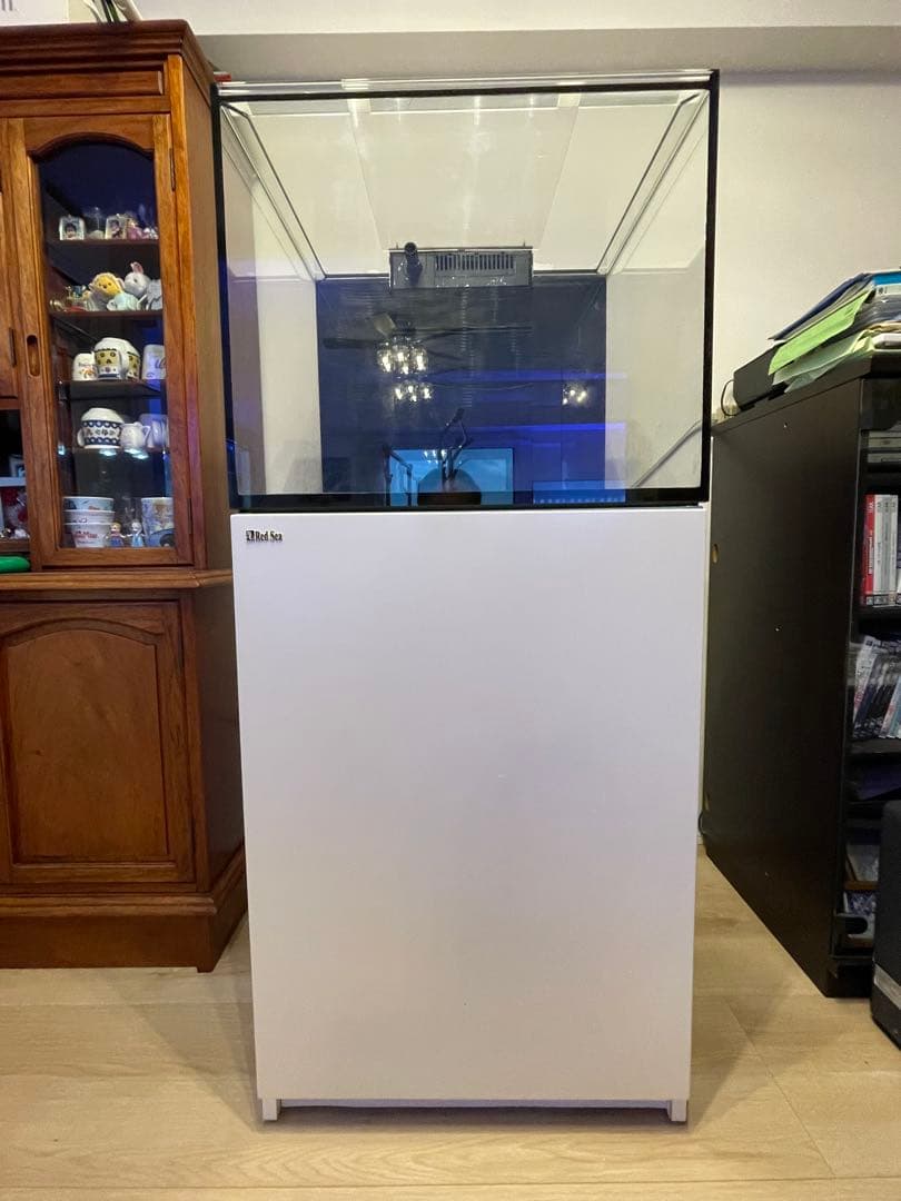 RedSea REEFER170 オーバーフロー水槽