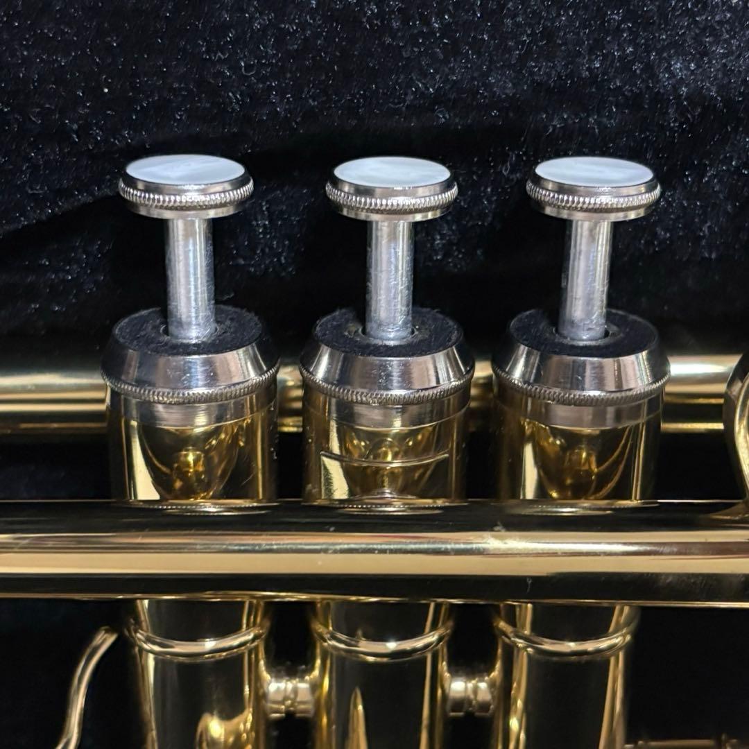 トランペット　SELVA セルバ　１月中限定値下げ