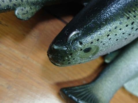 ハドルストン ハドルトラウト 8インチ×2 6インチ×1 オールド