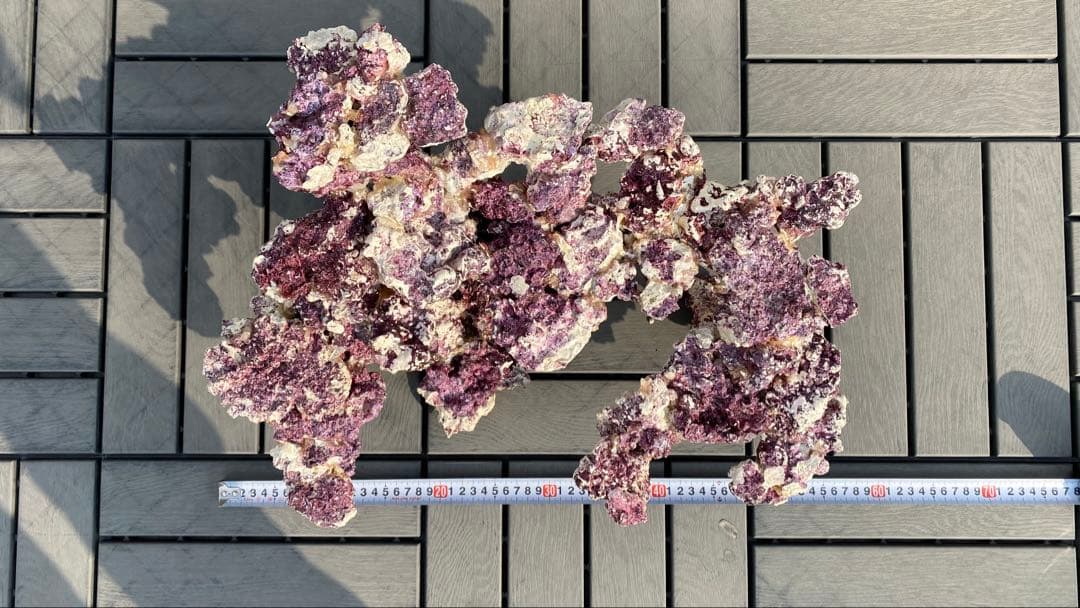 レイアウトロック　LSS レプリカライブロック　人工ライブロック