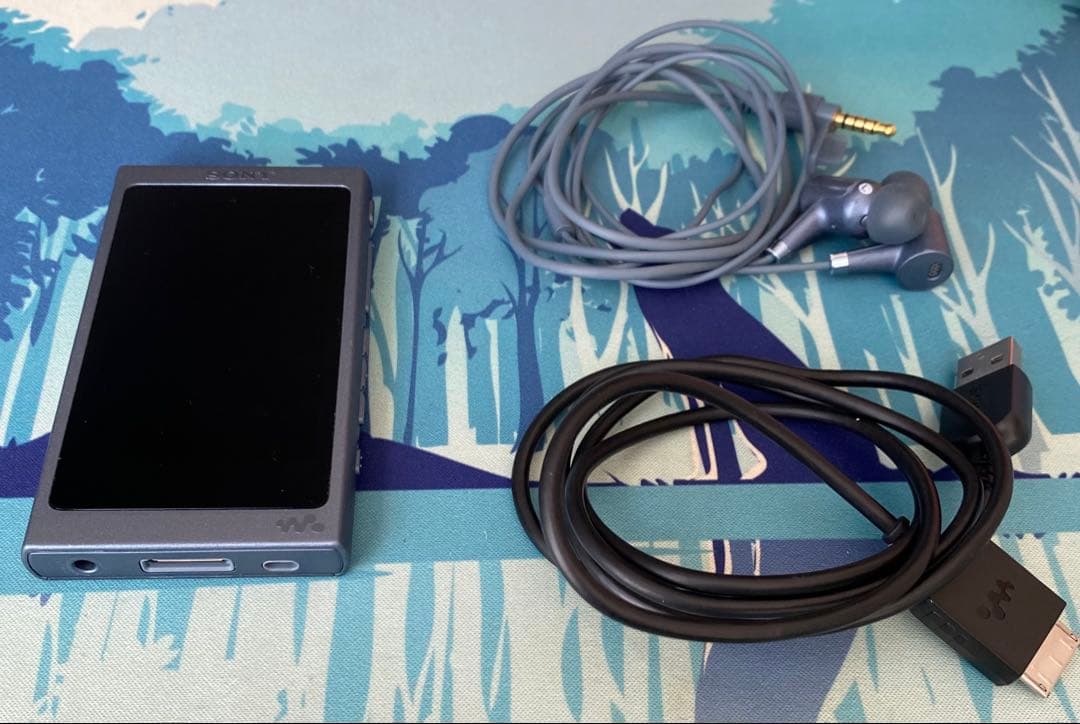 ソニー ウォークマン NW-A45 16GB ブルー（イヤホン付）