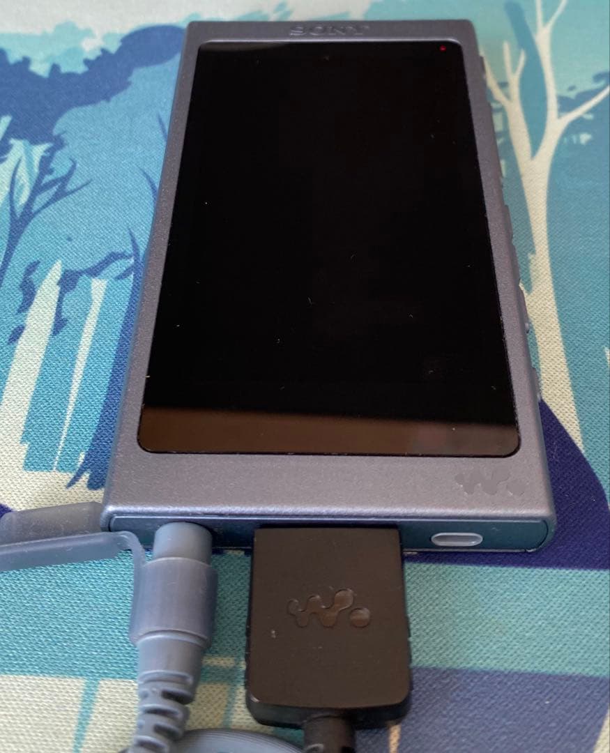 ソニー ウォークマン NW-A45 16GB ブルー（イヤホン付）