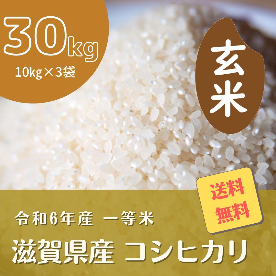 令和6年度産 コシヒカリ 30キロ 玄米 送料無料！
