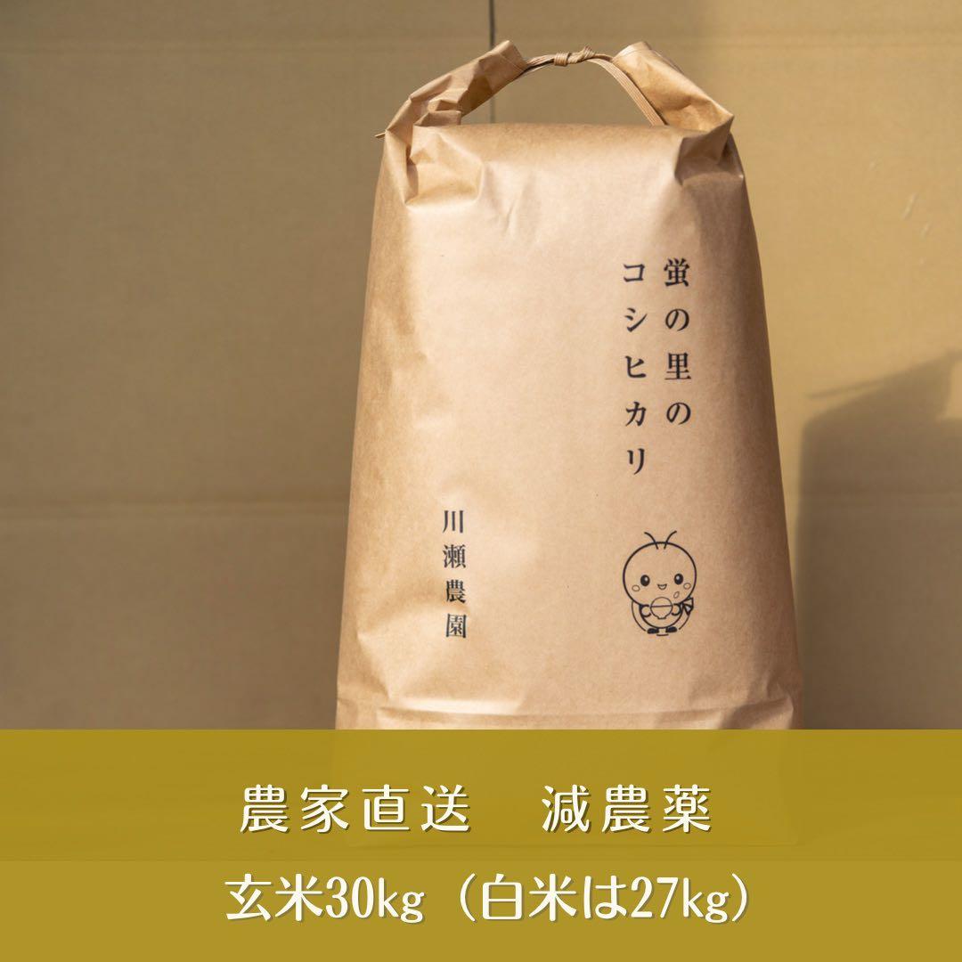 令和6年度産 コシヒカリ 30キロ 玄米 送料無料！