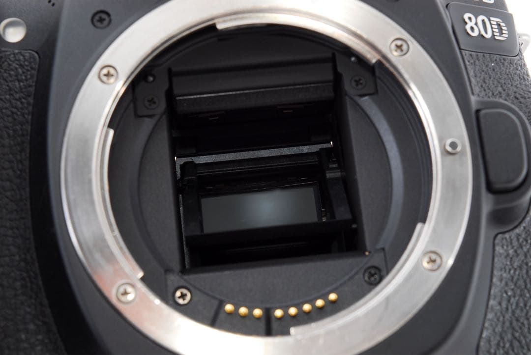 キャノン Canon EOS 80D標準&望遠&単焦点トリプルレンズセット☆