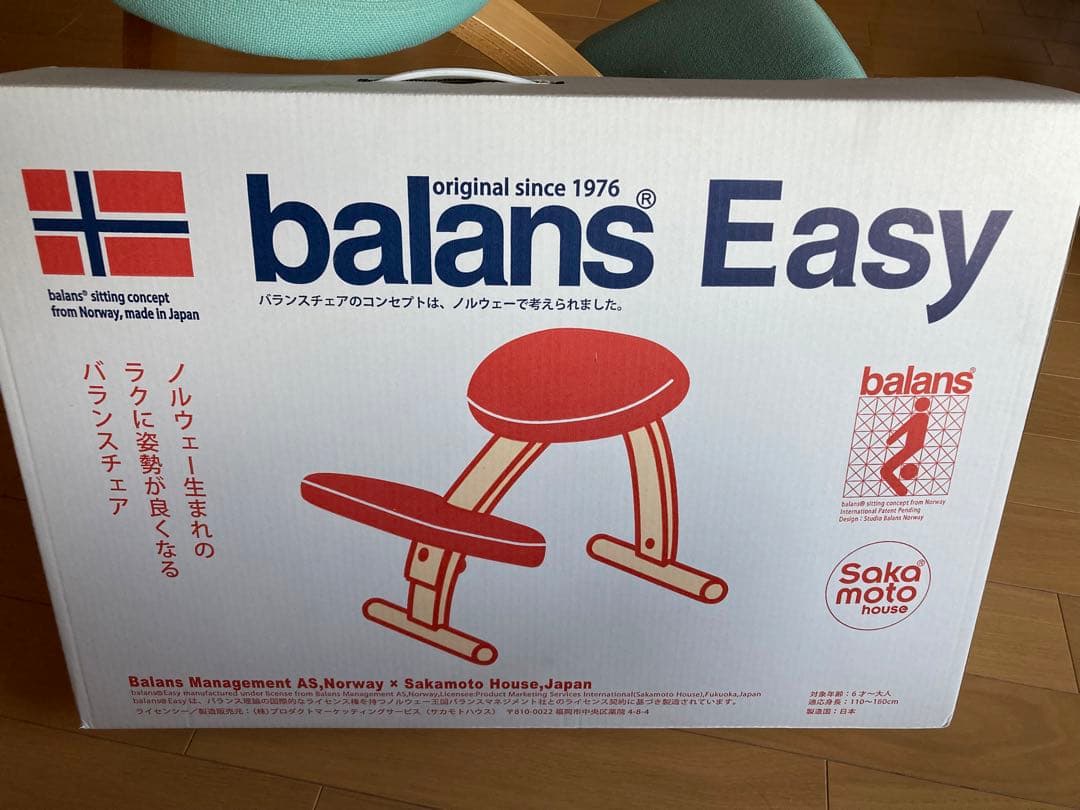 バランスチェア イージー ライトグリーン バランスラボ(旧サカモトハウス)
