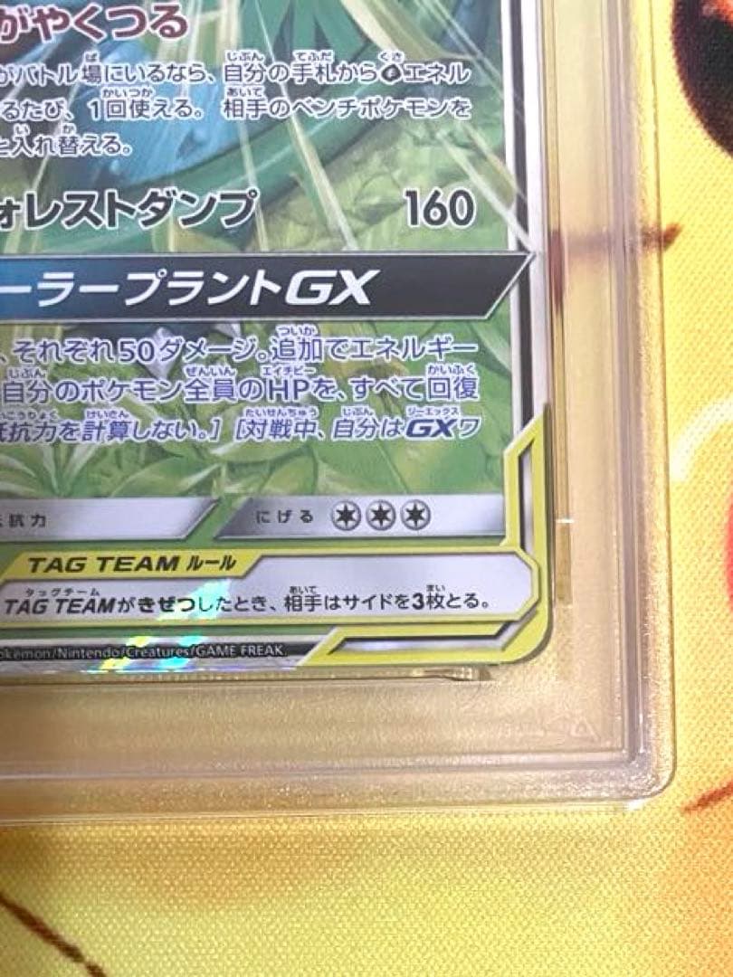 【PSA10】フシギバナ＆ツタージャgx rr