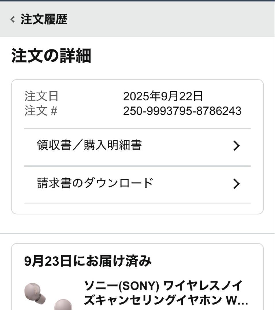 ソニー(SONY) ワイヤレスイヤホン WF-1000XM5 スモーキーピンク