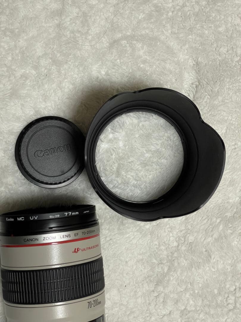 レンズ(ズーム) Ef 70-200f2.8 usm + 2x extender