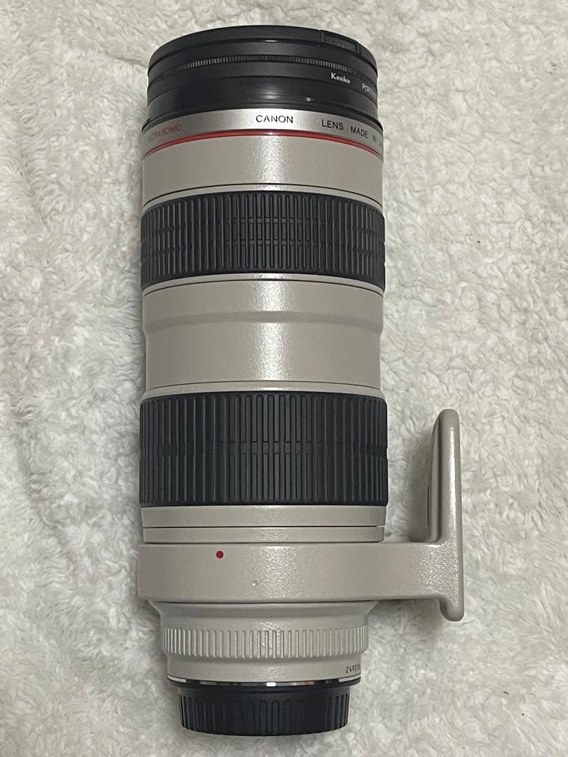 レンズ(ズーム) Ef 70-200f2.8 usm + 2x extender