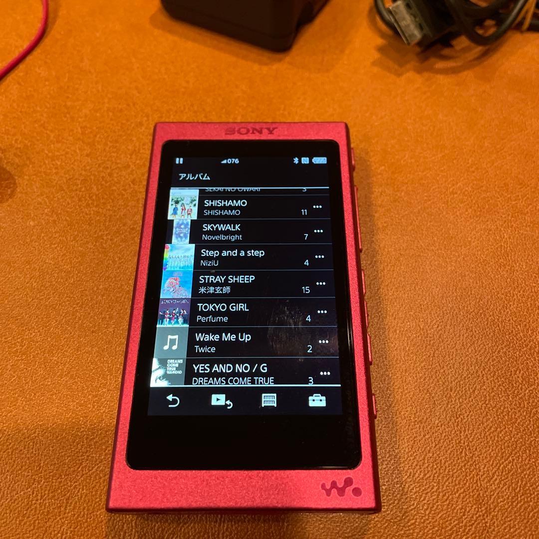 SONY NW-A35 デジタルオーディオプレーヤーケース付き動作正常