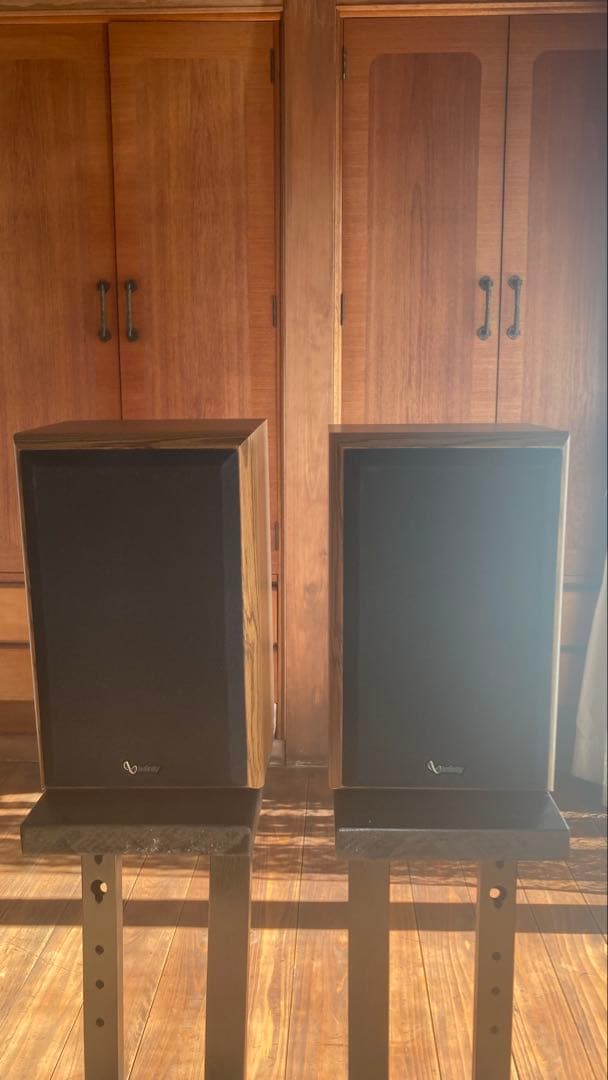 スピーカー・ウーファー POLYCELL REFERENCE10 J807-210344 pair