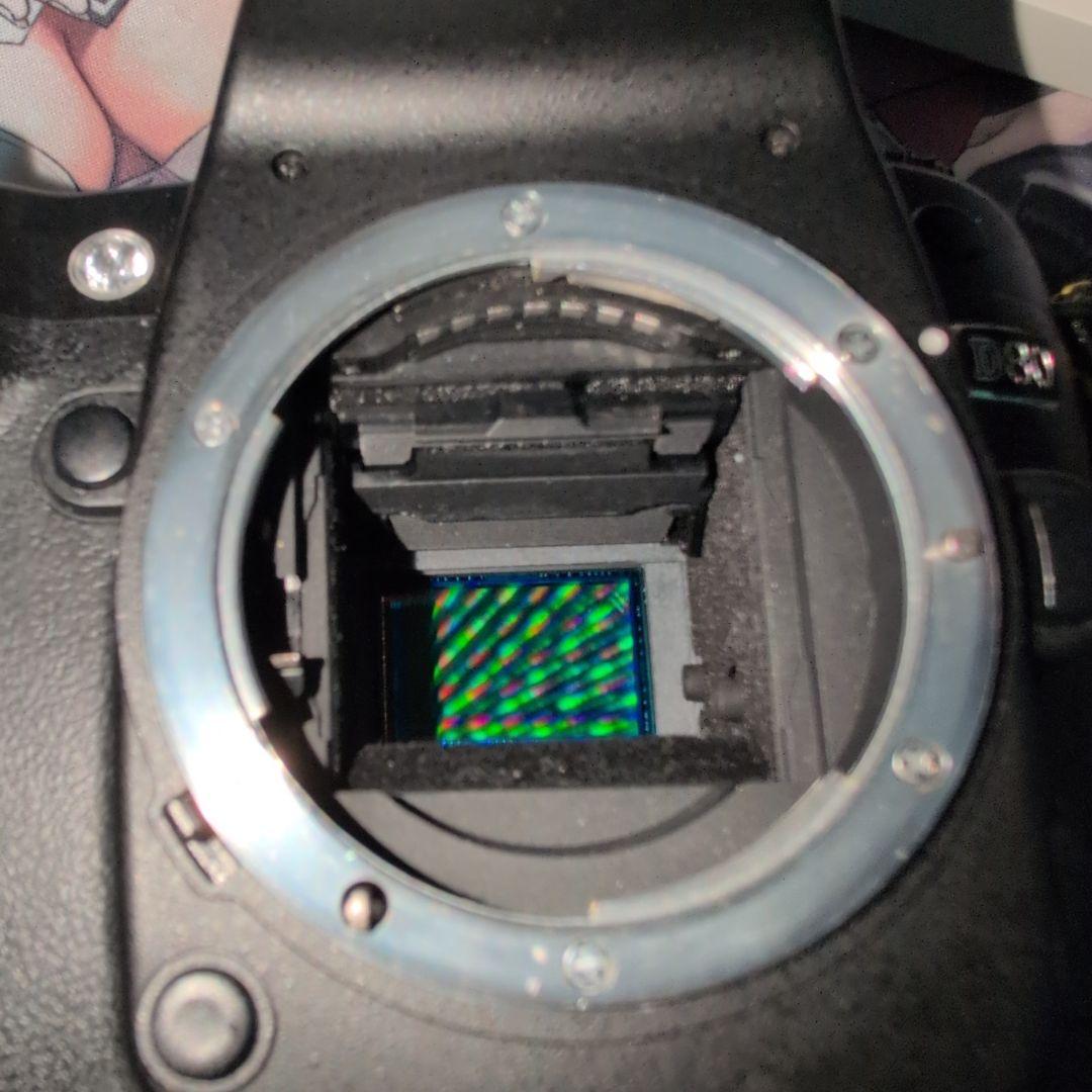 Nikon D80 デジタル一眼レフカメラ