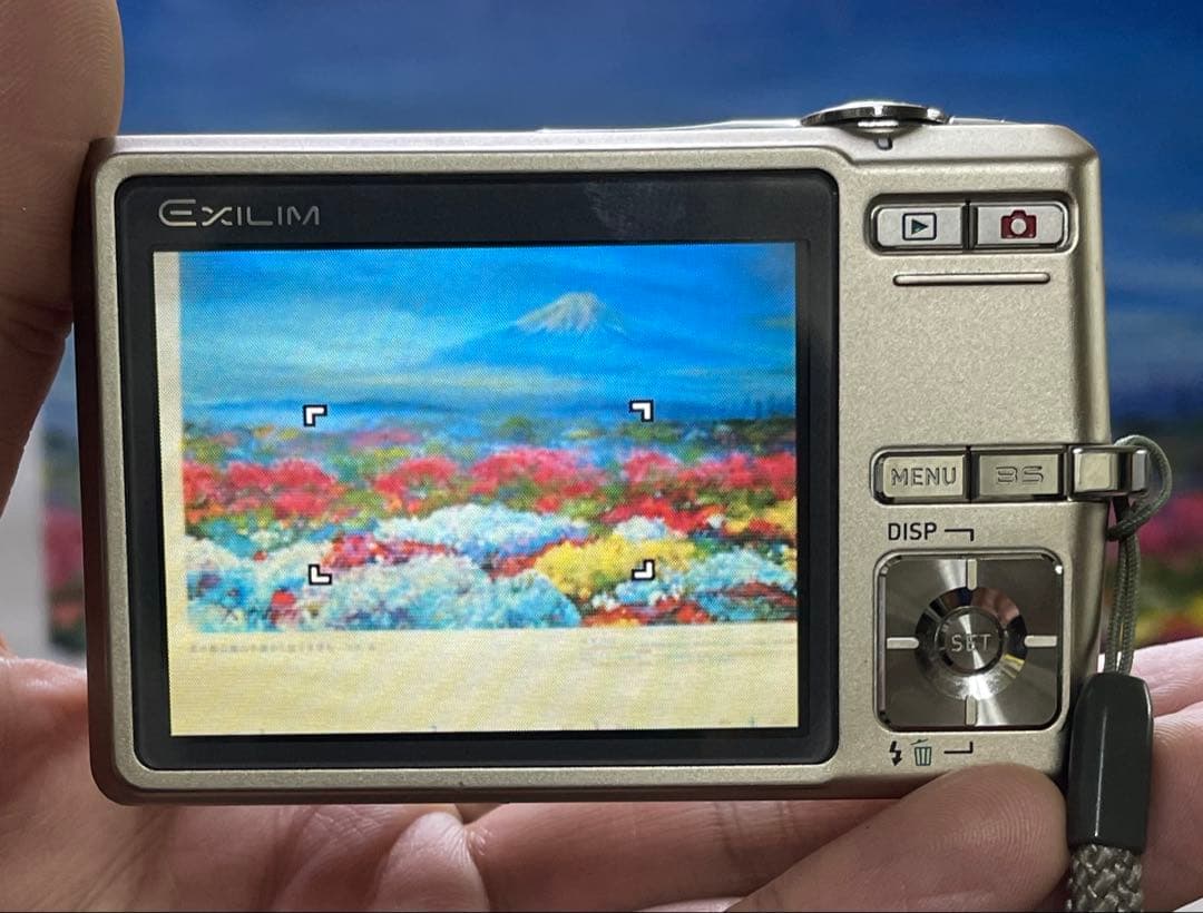 CASIO EX-Z500 EXILIM デジタルカメラ カシオ