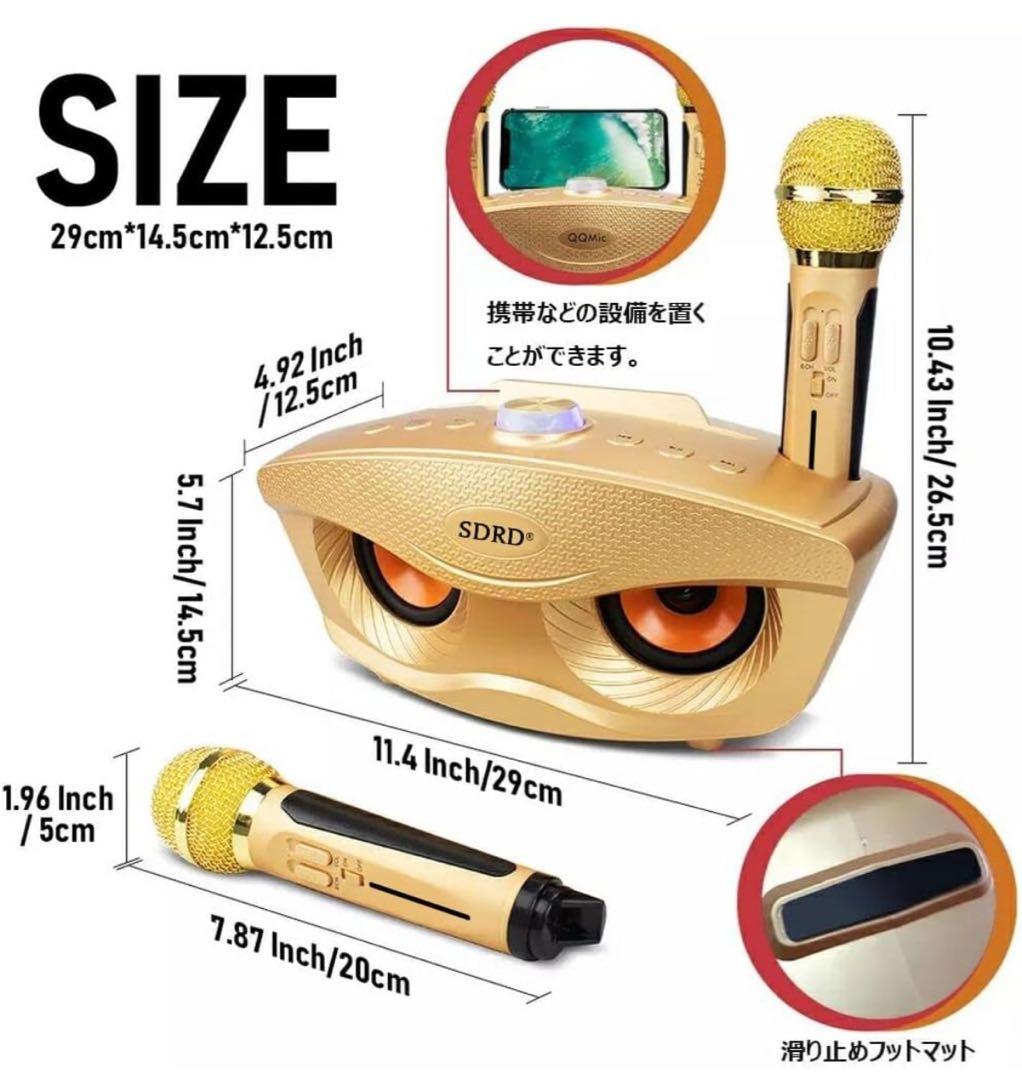 カラオケマイク 家庭用カラオケシステム ワイヤレスマイク マイク2本 無線接続